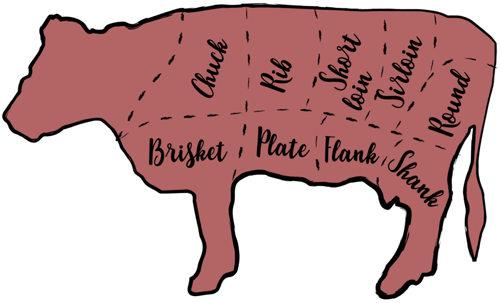 illustration of beef with labeled meat cuts