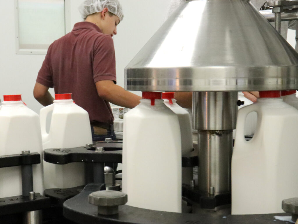 man opperating machine bottling fresh milk