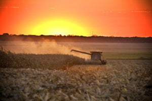 sunset over fields with tractor harvesting corn
