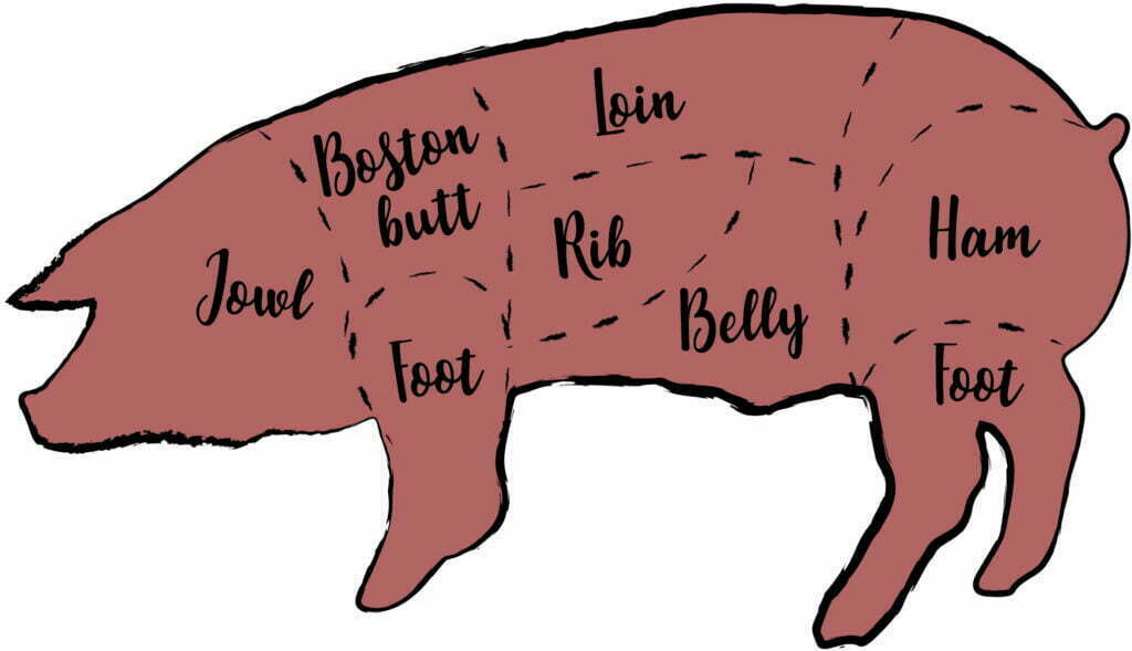 illustration of hog with labeled meat cuts